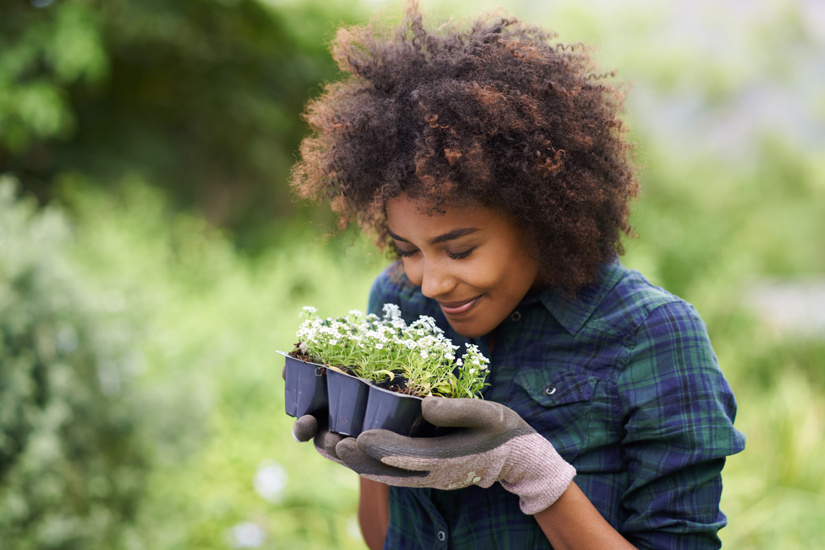 Acknowledging our Senses